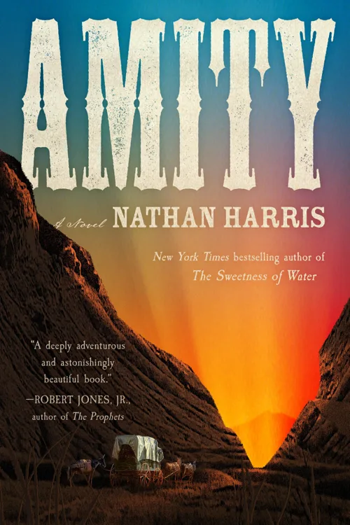 Cover of Amity