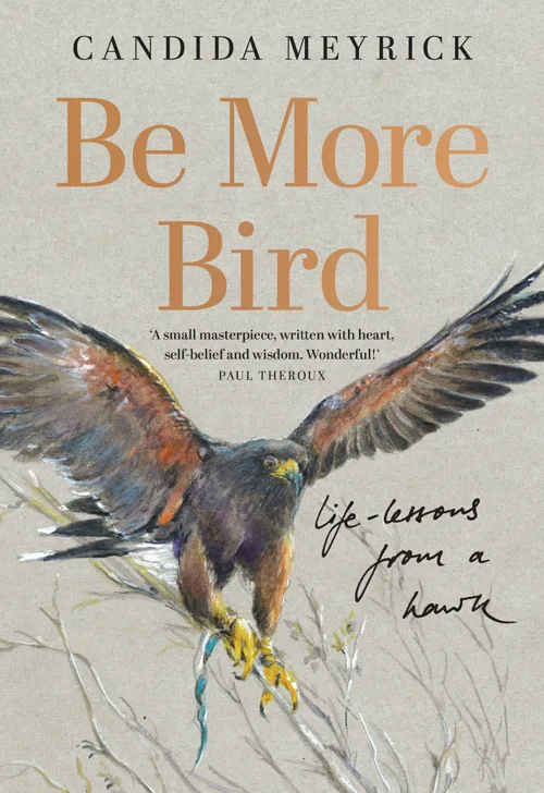 Cover of Be More Bird by Candida Meyrick