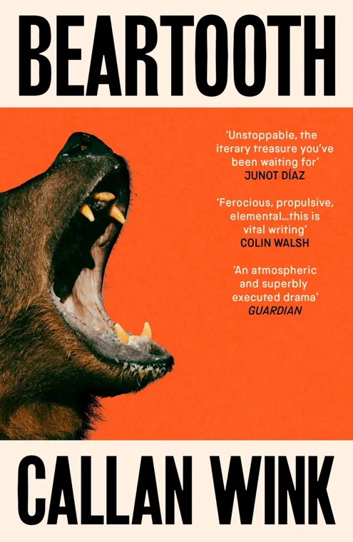 Cover of Beartooth