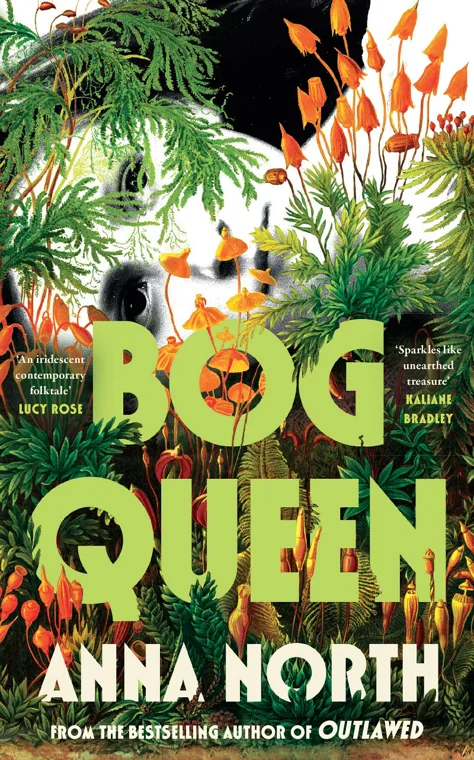 Cover of Bog Queen by Anna North