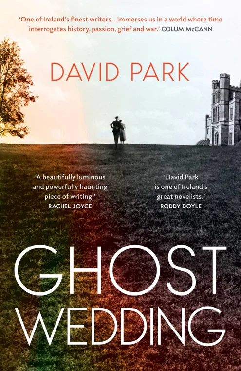 Cover of Ghost Wedding by David Park