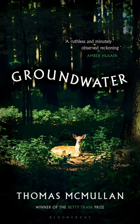 Cover of Groundwater by Thomas McMullan