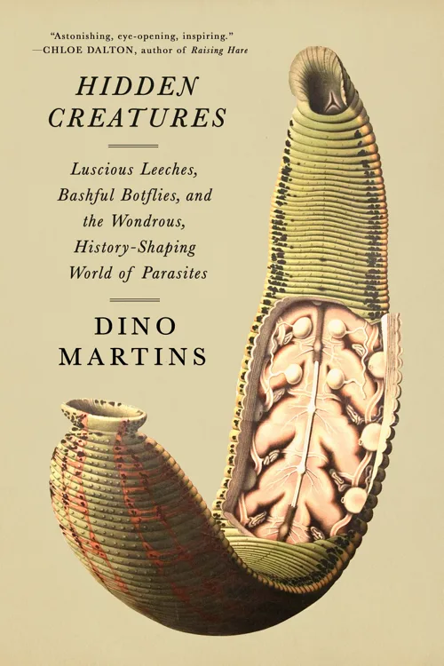 Cover of Hidden Creatures by Dino Martins
