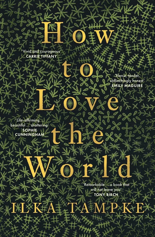 Cover of How to Love the World by Ilka Tampke