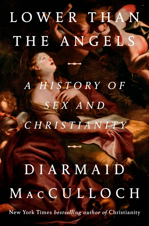 Cover of Lower Than the Angels by Diarmaid MacCulloch