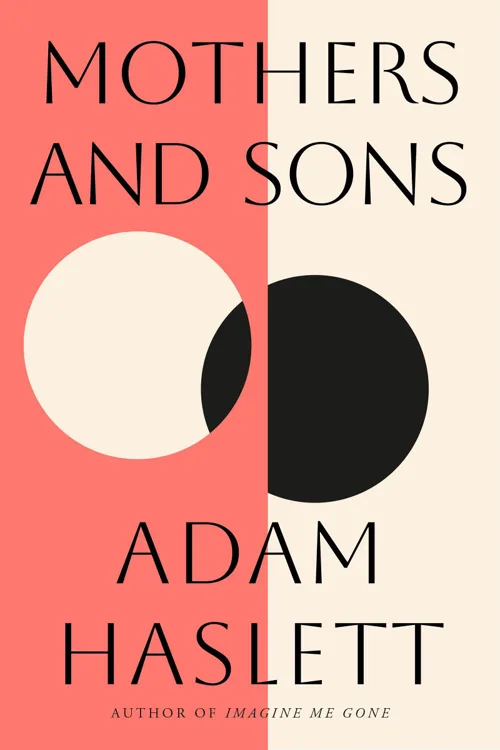 Cover of Mothers and Sons by Adam Haslett