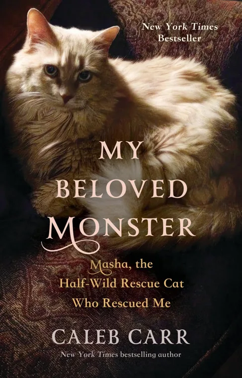Cover of My Beloved Monster