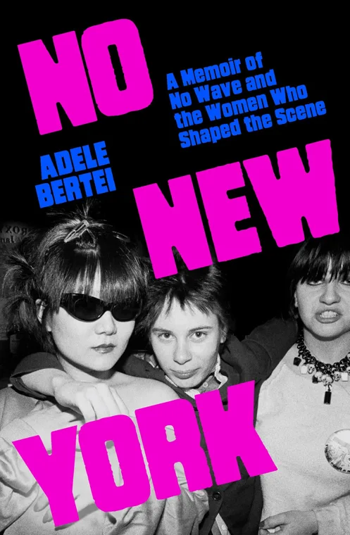 Cover of No New York by Adele Bertei
