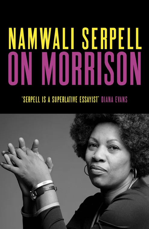 Cover of On Morrison