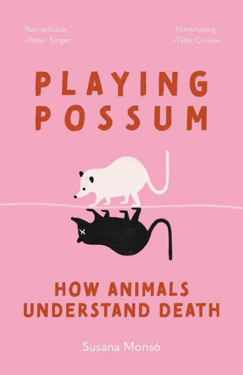 Cover of Playing Possum by Susana Monsó
