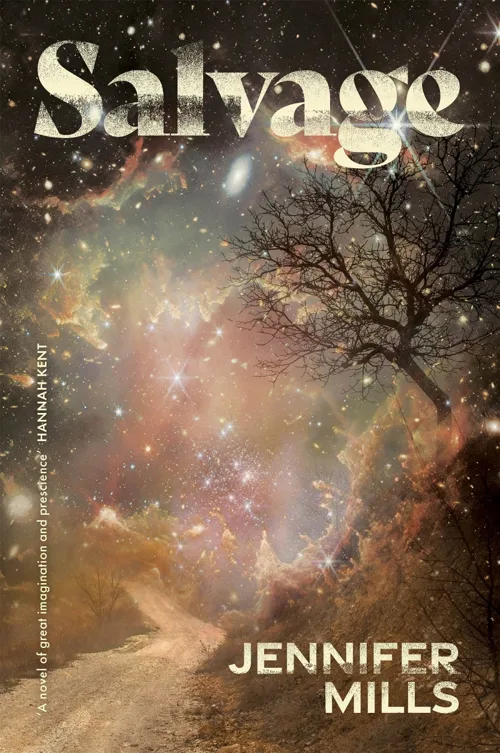 Cover of Salvage