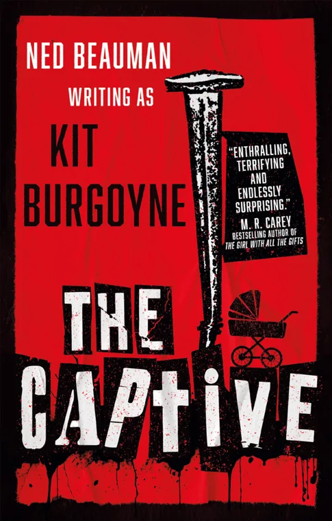 Cover of The Captive by Kit Burgoyne