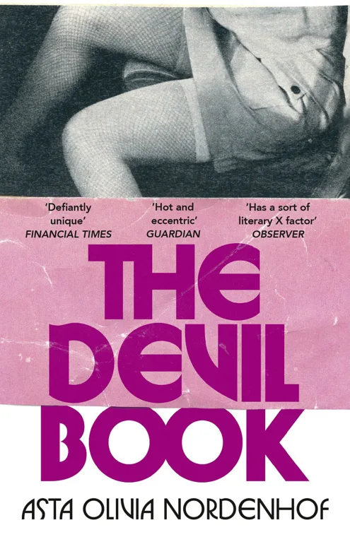 Cover of The Devil Book