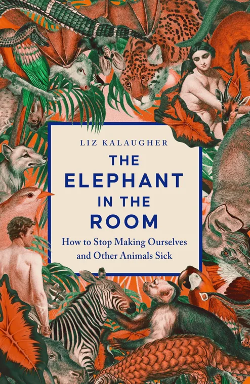 Cover of The Elephant in the Room by Liz Kalaugher