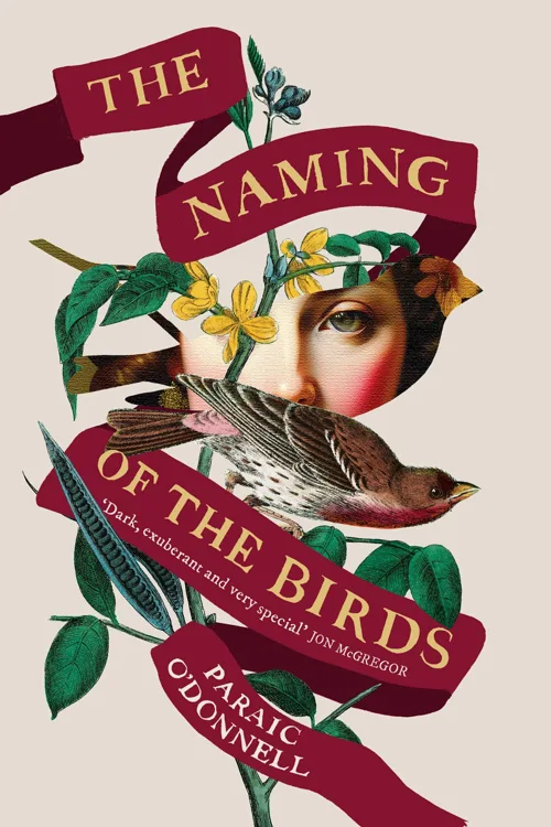 Cover of The Naming of the Birds by Paraic O'Donnell