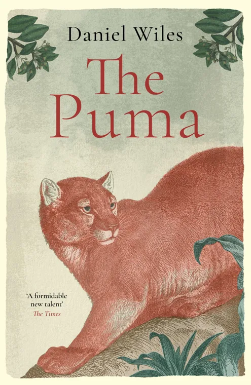 Cover of The Puma by Daniel Wiles