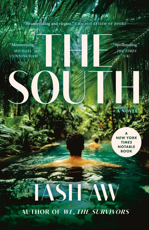 Cover of The South by Tash Aw
