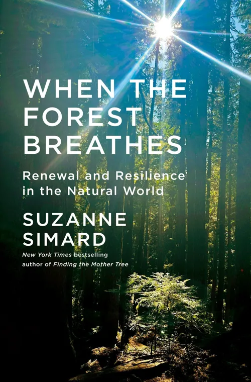 Cover of When the Forest Breathes by Suzanne Simard
